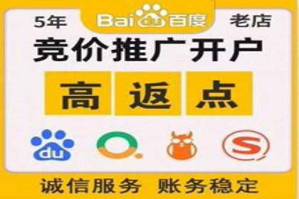 某电商平台的SEM推广策略——代运营公司的实践